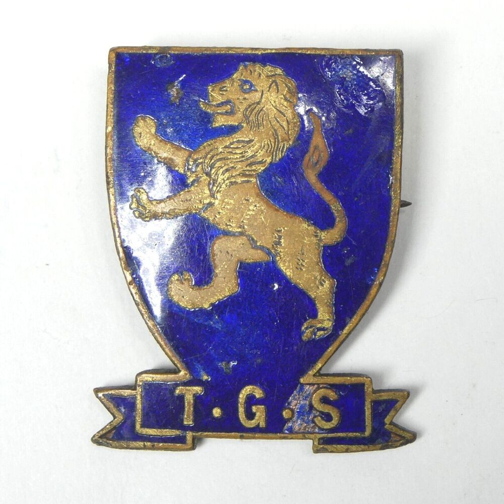 TGS Takapuna Grammar School New Zealand Lion Shield Pin Blue Enamel Vintage
